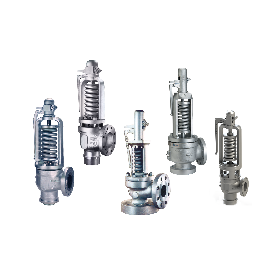 H Series Direct Spring Safety Valves