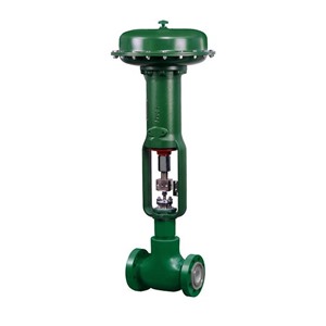 Fisher™ D & DA Control Valves