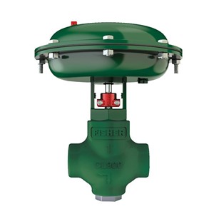 Fisher™ D2T Control Valve