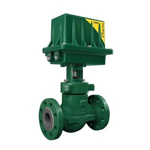 Fisher™ D4 Control Valve